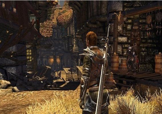 Divinity II: Developer's Cut EN/DE/FR/IT/PL/RU/ES Global GOG Digital Key