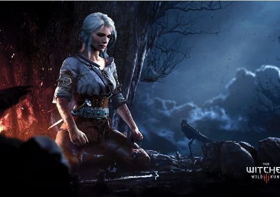 The Witcher 3: Wild Hunt + Expansion Pass EN Global GOG Digital Key