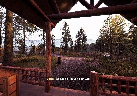 Hunting Simulator 2: A Ranger's Life DLC Global Steam Digital Key