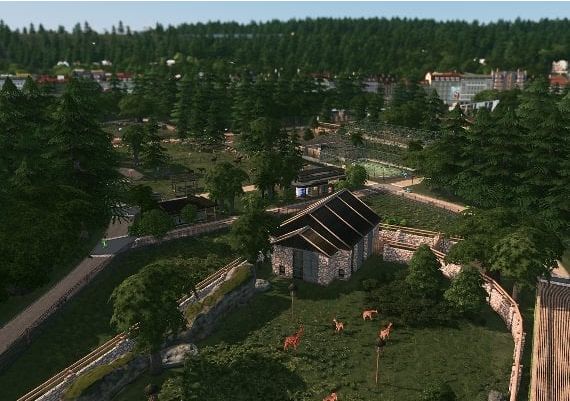 Cities: Skylines - Country Road Radio DLC EU Steam Digital Key