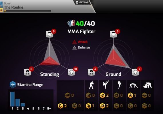 MMA Arena EN Global Steam Digital Key