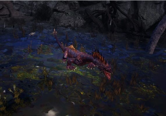 Gord: The Alliance DLC EN/DE/FR/PL/PT/RU/ES Global Steam Digital Key