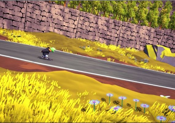 Driftwood EN Global Steam Digital Key