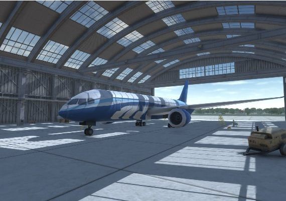 Airplane Sky Voyage Global Steam Digital Key