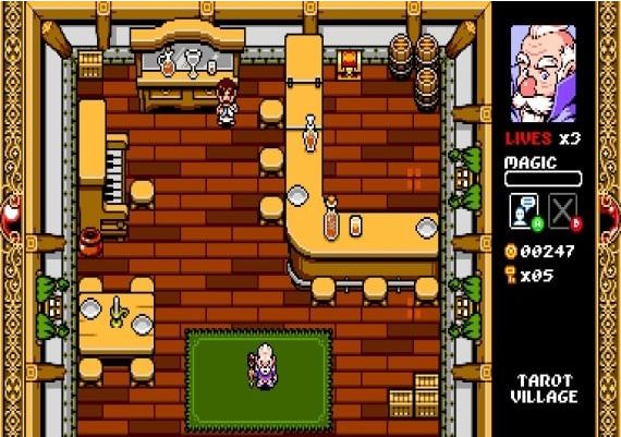 Wizorb EN/FR Global Steam Digital Key