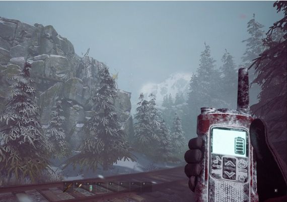 Winter Survival Global Steam Digital Key