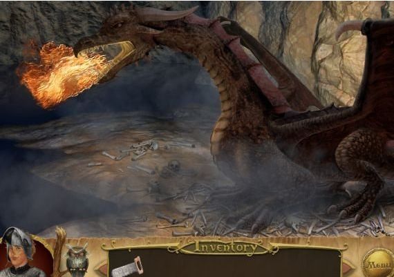 The Fool EN Global Steam Digital Key