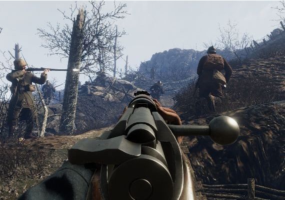 Tannenberg EN EU Steam Digital Key