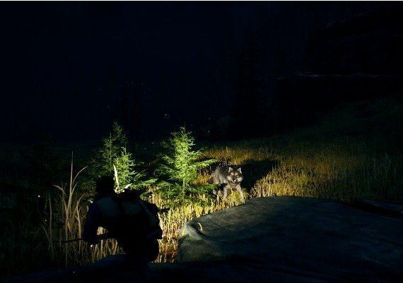 Open Country Argentina Xbox One/Series Digital Key