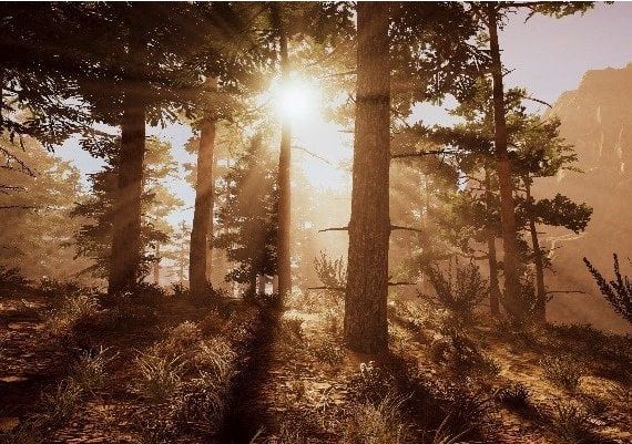 Wild West Dynasty Global Steam Digital Key