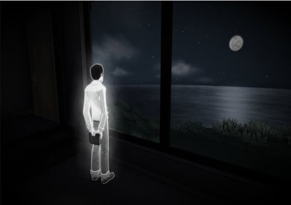 The Novelist EN Global Steam Digital Key