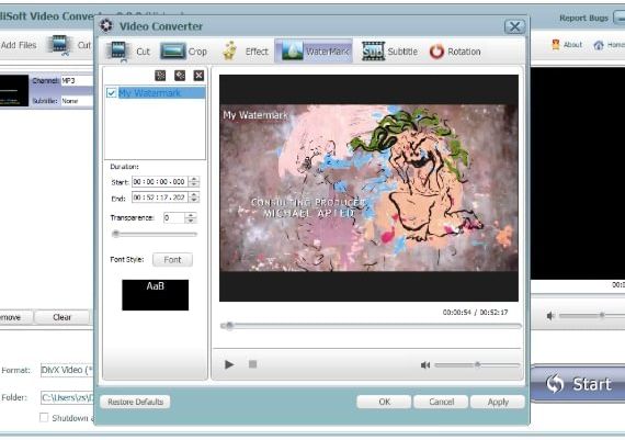 Gilisoft Video Converter EN Global Software License Digital Key