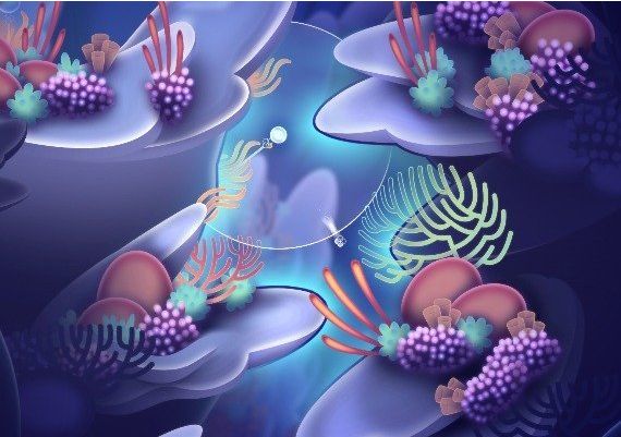 Onde Global Steam Digital Key