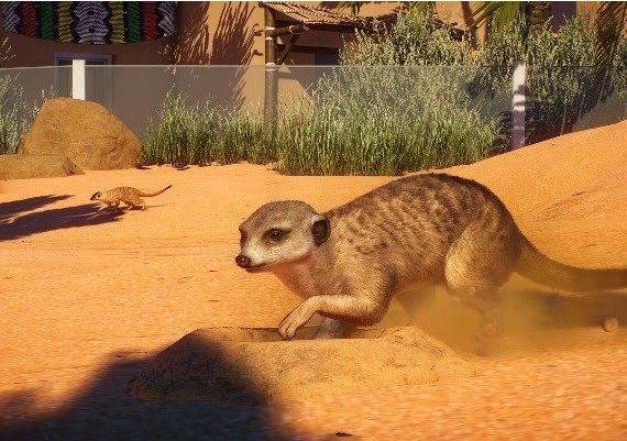 Planet Zoo - Africa Pack DLC Global Steam Digital Key