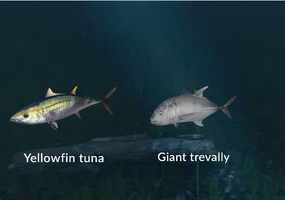 Ultimate Fishing Simulator - New Fish Species DLC Global Steam Digital Key