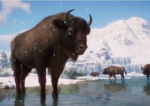 Planet Zoo - Eurasia Animal Pack DLC Turkey Steam Digital Key