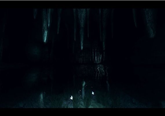 White Mirror EN Global Steam Digital Key