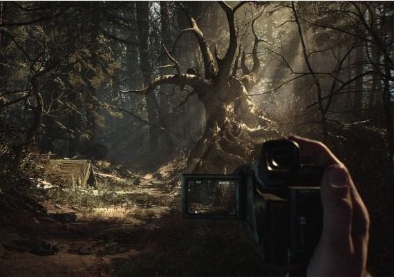 Blair Witch Argentina Xbox One/Series/Windows Digital Key