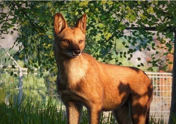 Planet Zoo - Southeast Asia Animal Pack DLC EU Steam Digital Key