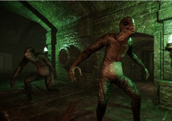 Monomyth EN Global Steam Digital Key