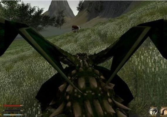 Dragon: The Game EN Global Steam Digital Key