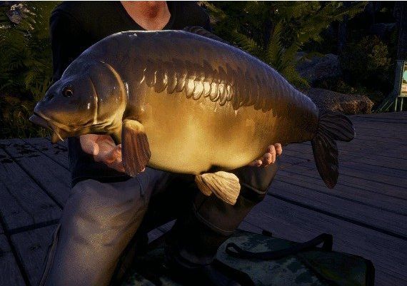 Euro Fishing - Waldsee DLC EN/DE/FR/PL/RU Global Steam Digital Key