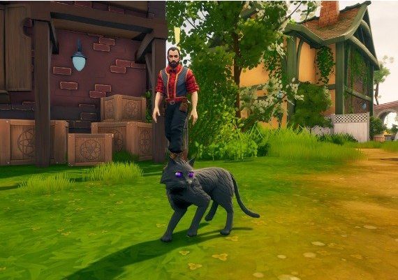 The Witch of Fern Island EN/PL Global Steam Digital Key