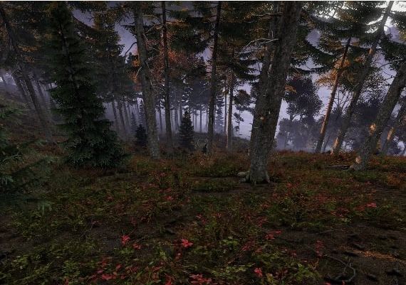 DayZ Livonia Edition EN Global Steam Digital Key