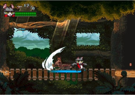 Super Catboy Global Steam Digital Key