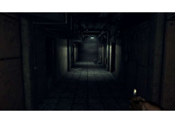 Hektor EN Global Steam Digital Key