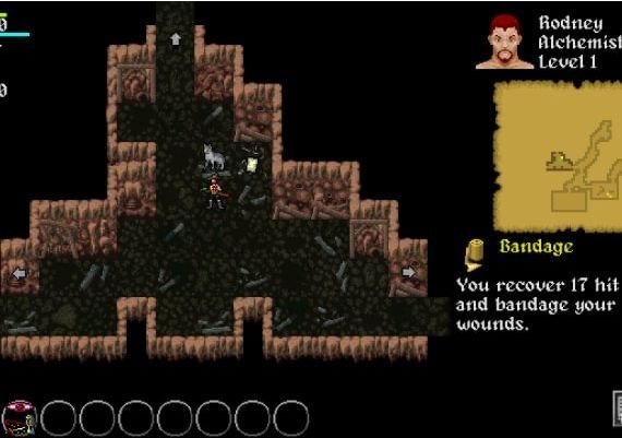 Ananias Roguelike EN Global Steam Digital Key