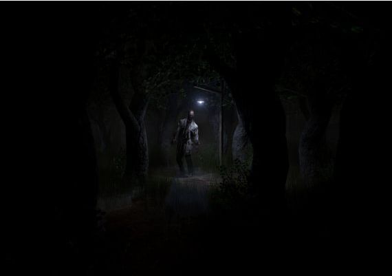 Roots of Insanity Global Steam Digital Key