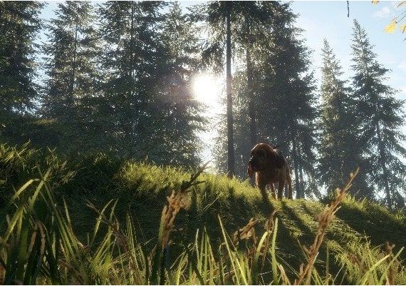 theHunter: Call of the Wild - Essentials Bundle DLC Argentina Xbox One/Series Digital Key