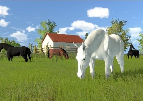 My Little Riding Champion EN Argentina Xbox One/Series Digital Key