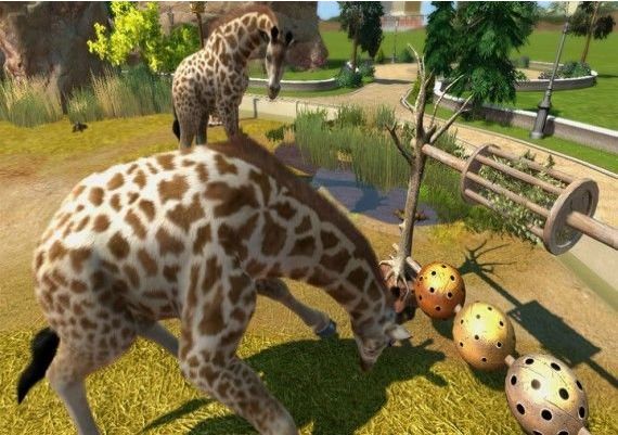 Zoo Tycoon EN Argentina Xbox One/Series Digital Key
