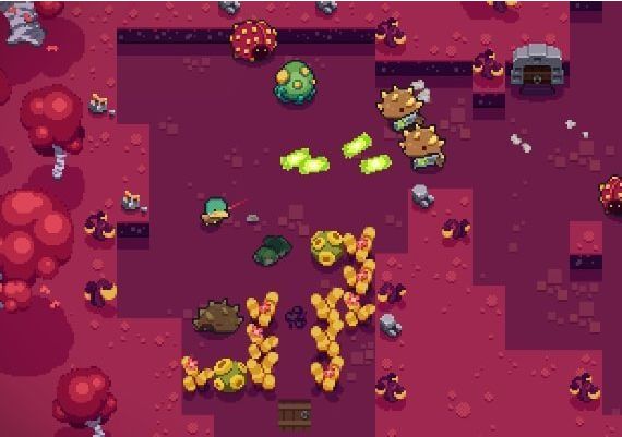 Blazing Beaks EN Argentina Xbox One/Series Digital Key