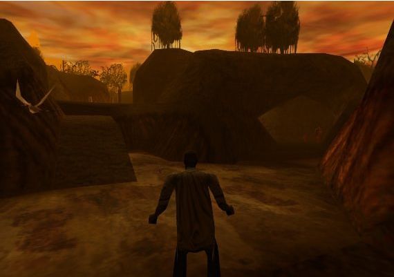 Shadow Man EN/DE/FR/IT/ES Global Steam Digital Key