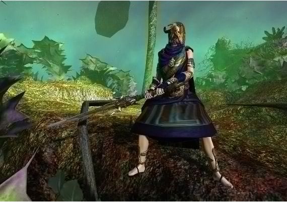 Age of Conan: Unchained - Hyborian Conqueror Collection DLC EN/DE/FR Global Steam Digital Key