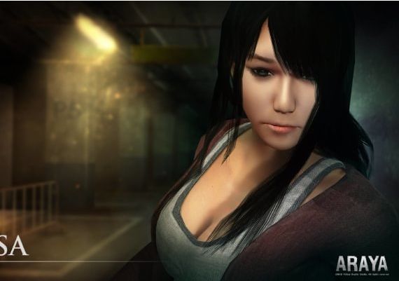 ARAYA EN/ZH Global Steam Digital Key