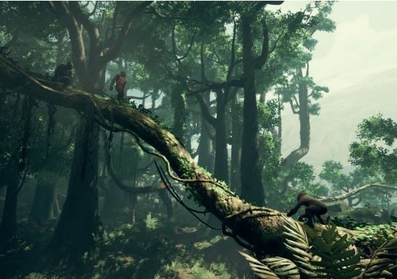 Ancestors: The Humankind Odyssey SEA Asia Steam Digital Key