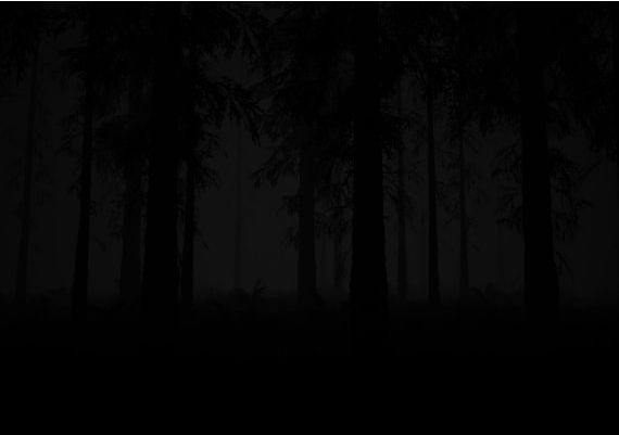 Study of Unusual: Forest of Secrets EN/RU Global Steam Digital Key