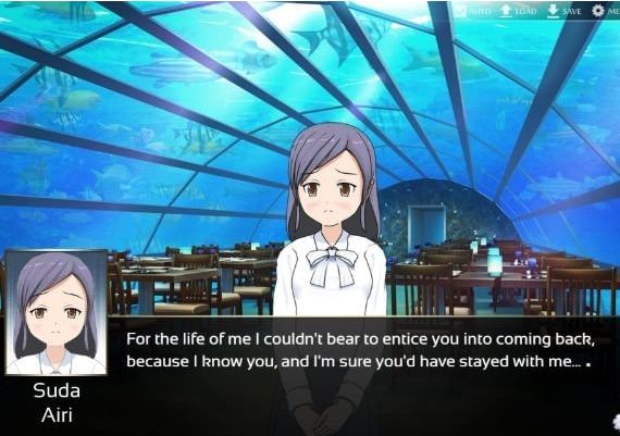 Pawn EN/FR Global Steam Digital Key