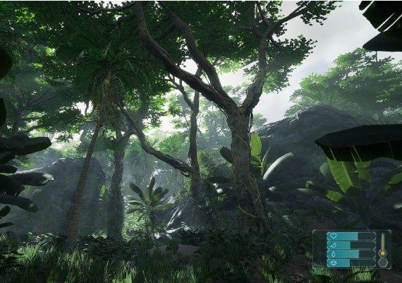 Retreat To Enen EN Global Steam Digital Key