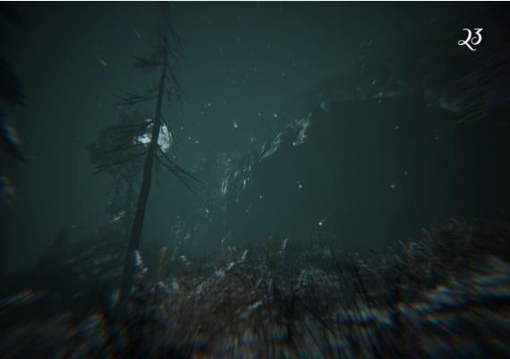 Gevaudan EN/FR Global Steam Digital Key