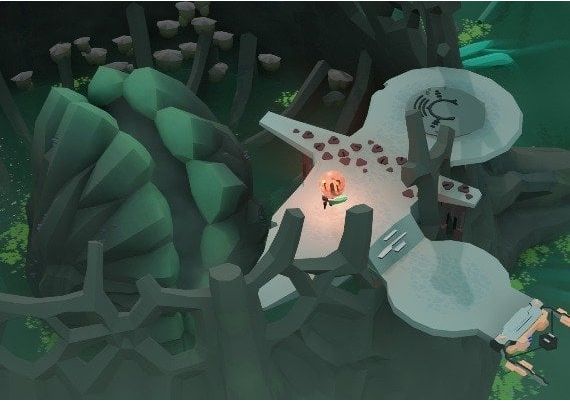 Cocoon EN Egypt Xbox One/Series/Windows Digital Key