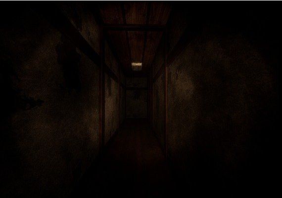 Masagoro EN/JA Global Steam Digital Key