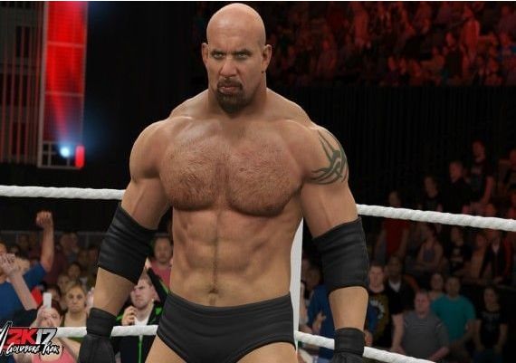 WWE 2k17 Deluxe Edition EN Global Steam Digital Key