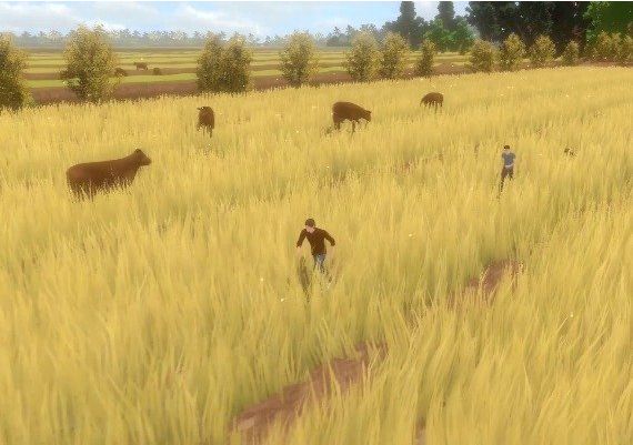 Forgotten Fields EN Global Steam Digital Key