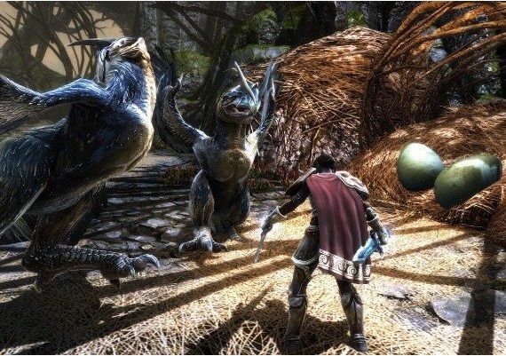 Kingdoms of Amalur: Re-Reckoning EN EU Xbox One/Series Digital Key