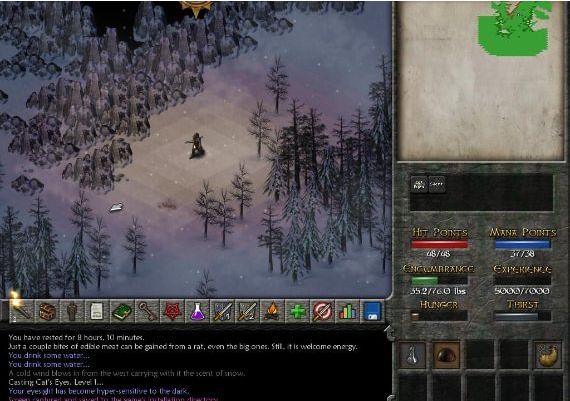 Eschalon: Book II EN Global Steam Digital Key